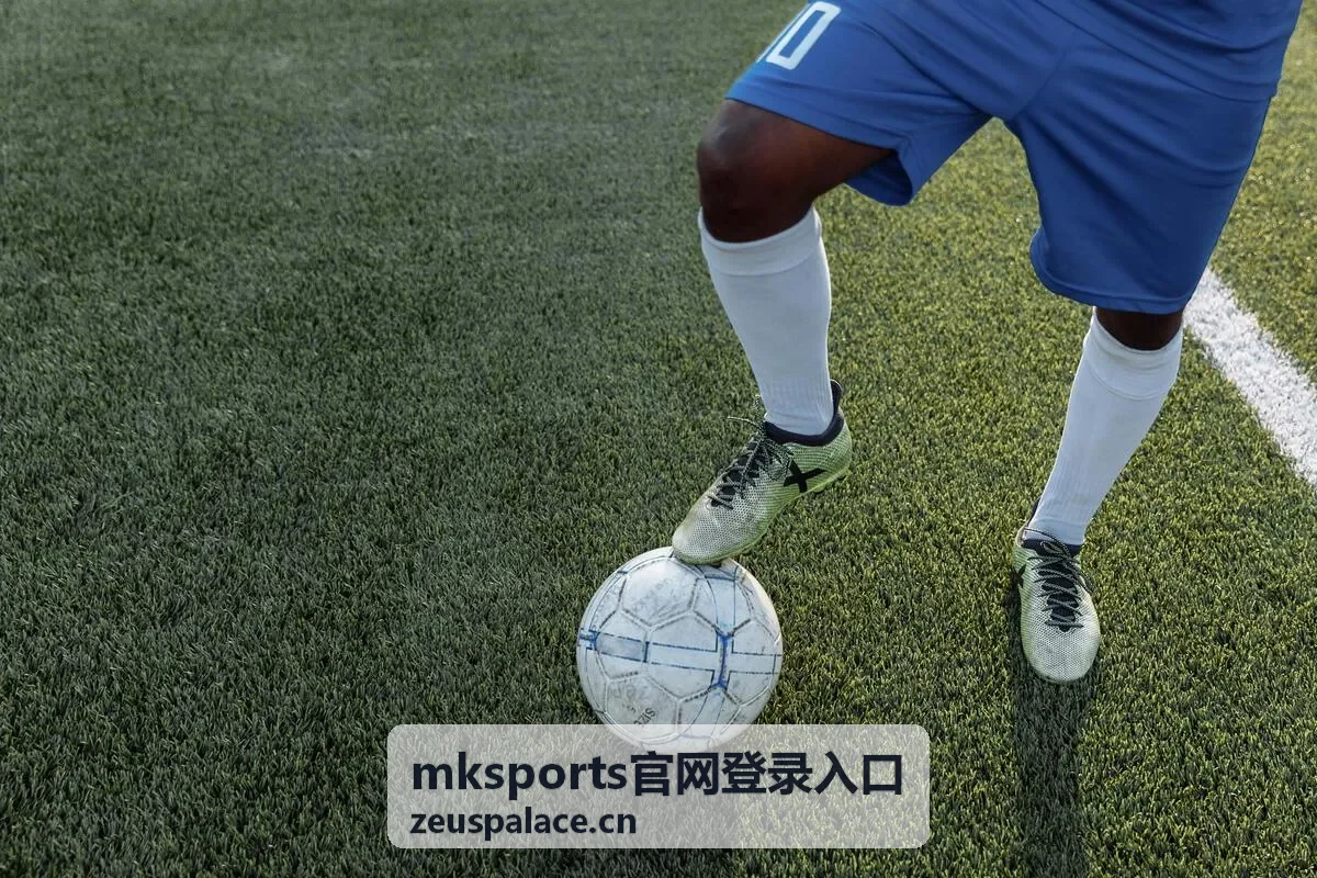mksports官网登录入口平台服务场景